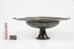 Foto von Bronzebreitrandfußschale (NHMW-PRAE-025182)